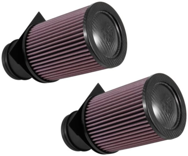 Filtro De Aire Kn Audi R8 V10-5.2L F/I (2 Por Caja)