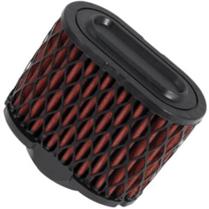 Filtro De Aire Kn Briggs & Stratton 407777