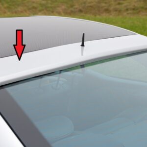 Funda de Ventana Trasera Rieger para Mercedes Clase C (W203) Lim. (sedán) 05.00-