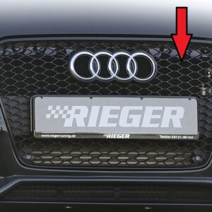 Grille Audi RS5 (B8) - Compatible con A5 y S5